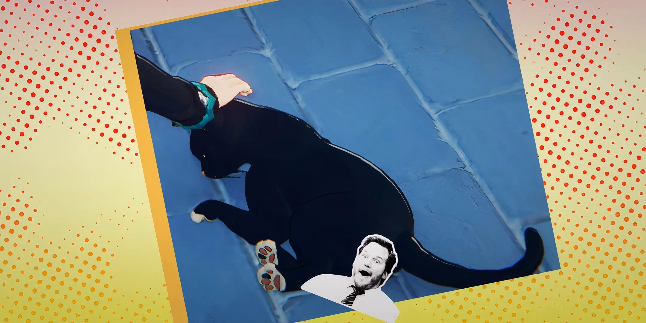 zenless-zone-zero-s-cat-sparks-anatomy-debate-idle-petting-charm-image-0